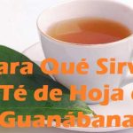 Para qué sirve el Té de Hoja de Guanábana